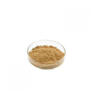 Balm (lemon) Dry Extract | Iran Exports Companies, Services & Products | IREX